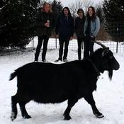 Image of Rational Animals - Bock Rock Parade LP