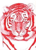Image of 'Red Tiger' A4 Colour Print
