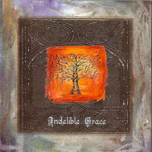 Image of Indelible Grace