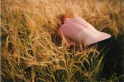 Image of Omens Print