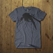 Image of Mosquito