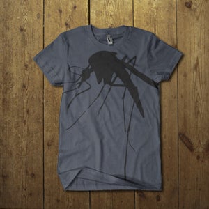 Image of Mosquito