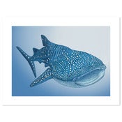 Image of Whale Shark Deep blue 40x30cm 