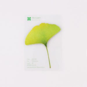 Image of  Appree Gingko Leaf Post-it