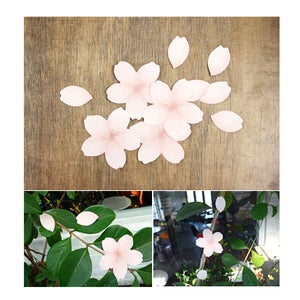 Image of Seeso Spring Flowers Post It Notes Set