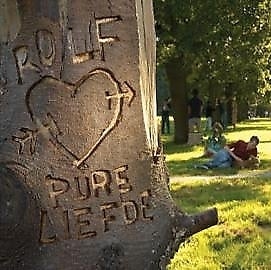 Image of Pure Liefde (2007)