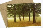 Image of Five Trees Postcard w/Envelope - Boise National Forest