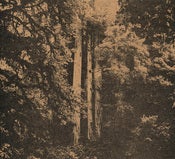 Image of Carver Brothers Lullaby CD - recycled chipboard digipack