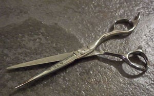Image of Gakusei Shears (RH & LH)
