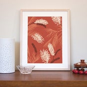 Image of Grevillea Print- DESERT RED LARGE