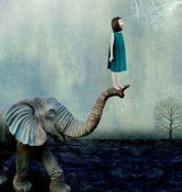 Image of Blue Safari