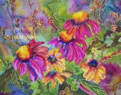Image of Coneflowers & Co Signed 8X10 Print