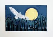 Image of Sally Elford<br>Harvest Moon