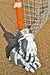 Image of StickStar Mittens (Navy w/ Athletic Gold)