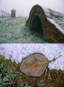 Image of The Edge  - Auschwitz/Birkenau
