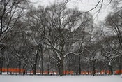Image of Christo's Gates - CentralPark,NewYorkCity