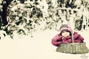 Image of Newsboy Brim Beanie 