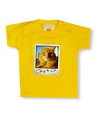 Image of Chorizo the Cat