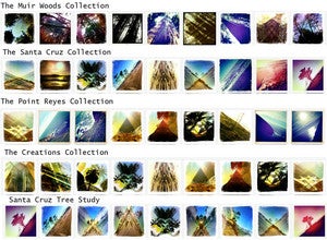 Image of Bundled Prints - Choose from 5 Collections of 9 Prints (4 Inch Prints)