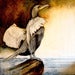 Image of Rites of Li, Cormorant