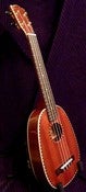 Image of Mainland Long Neck Concert Pineapple Gloss finish