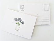 Image of letterbox love - hydrangeas