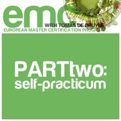 Image of European Master Certification Program: PART 2 - Self Practicum