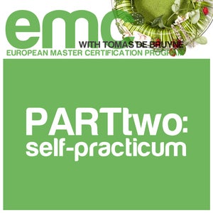 Image of European Master Certification Program: PART 2 - Self Practicum