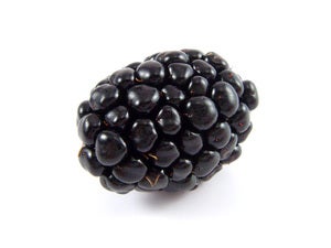 Image of Marionberry (large)