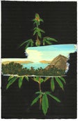 Image of Weed + Landscape