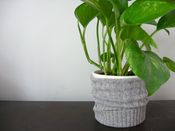 Image of Houseplant Sweater