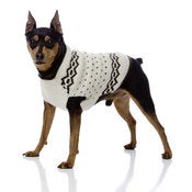 Image of The Baxter ™  on UncommonPaws.com