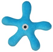 Image of Lipfish turquoise amoeba rattle