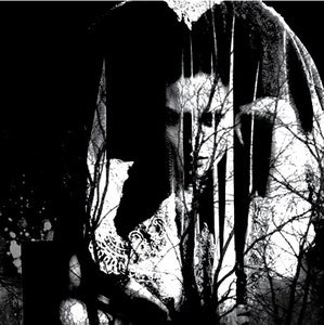 Image of Wilt "She Walks The Night" 7-Inch