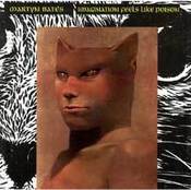 Image of Martyn Bates "Imagination Feels Like Poison" CD