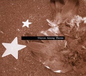Image of Nick Grey "Thieves Among Thorns" CD