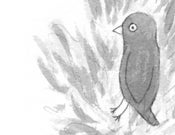 Image of Bird