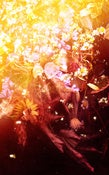 Image of Pauses Sunsetter Golden *UNIQUE*