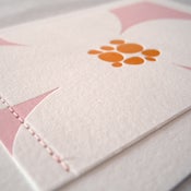 Image of center square . magnolia . peoni