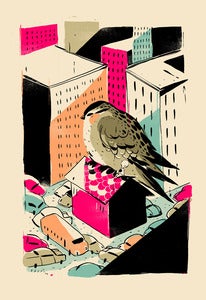 Image of GIANTS! - Birdy