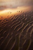 Image of Golden dunes