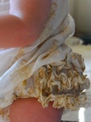 Image of Baba Quilted Baby Dress with Bloomer