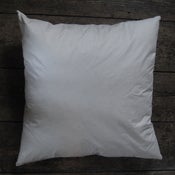 Image of CUSHION PAD 18 X 18" (45.72 CMS)