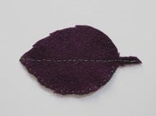Image of Small Autumn Leaf