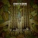 Image of BETWEEN THE SCREAMS - Our Last Days On Earth