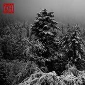 Image of WAYFARER -LETUMUS CATHARI 7"