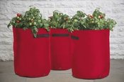 Image of Contenedores para cultivar Tomates ( Pack de 3 unidades)