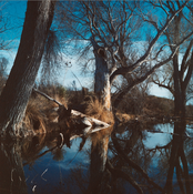 Image of Marfa Landscape #1
