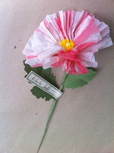 Image of Double Poppy 