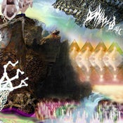 Image of various artists DEATHBOMB ARC TAPE CLUB YEAR 4 split cassettes